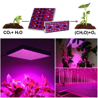 25W 45W AC86V-265V LED Grow Light Full Spectrum SMD 2835 UV+IR Phyto Lamp Fitolampy Indoor Herbs Light for Greenhouse Grow Tent - Image 7