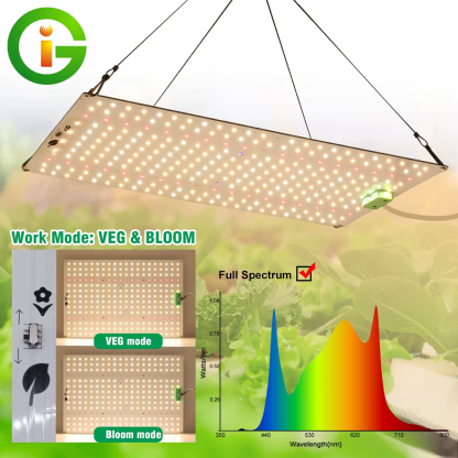 Full Spectrum LED Grow Light Samsung LM281B Diode LED Sunlike Quantum Grow Lamp for Greenhouse Hydroponic Plant Growth Lighting - Image 2
