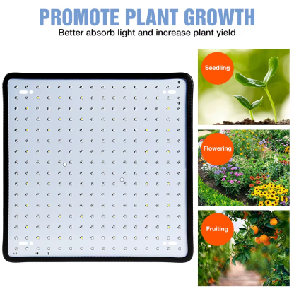1000W Grow Light Led Full Spectrum Lamp 1500W 2000W Led Plant Light Bulb Greenhouses Indoor Phyto Lamp Grow Tent US EU UK Plug - Image 5