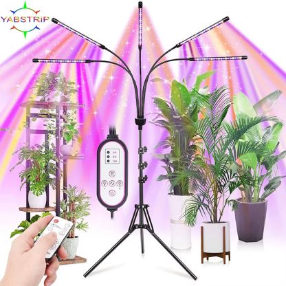 Full Spectrum LED Grow Light DC 5V USB Phyto Lamps Desktop Plant Growth Lamp for Indoor Flower VEG Seedling Succulent Fitolampy - Image 2