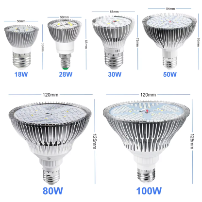 LED Phyto Grow Light Full Spectrum Phytolamp E27 Plant Bulb E14 UV Lamp for Greenhouse Flower Seeds LED Hydroponic Growth Light - Image 6