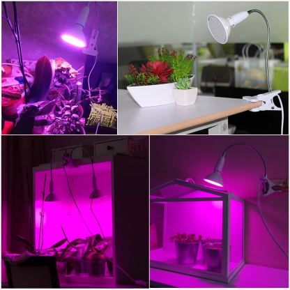 LED Grow Light Bulb Full Spectrum Lamp E27 LED Lights for Indoor Growing E27 Bulb Phytolamp for Plants Seedling Flower Grow Tent - Image 7