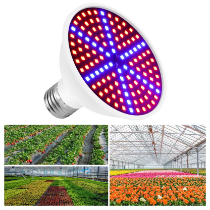 E27 LED Plant Growing Lamp E14 LED Grow Light Full Spectrum Bulb GU10 48 60 80 126 200Leds Greenhouse MR16 Phyto Lamp B22 - Image 7