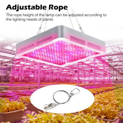 Full Spectrum LED Grow Light 2000W Phytolamp 2835 Led Chips Plant Light for Indoor Plant AC85-265V 2 Mode Switch for Greenhouse - Image 5