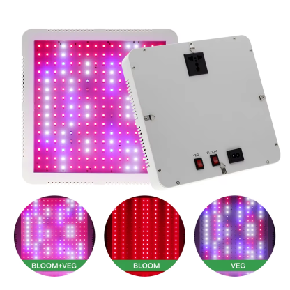 Full Spectrum LED Grow Light 2000W Phytolamp 2835 Led Chips Plant Light for Indoor Plant AC85-265V 2 Mode Switch for Greenhouse - Image 4