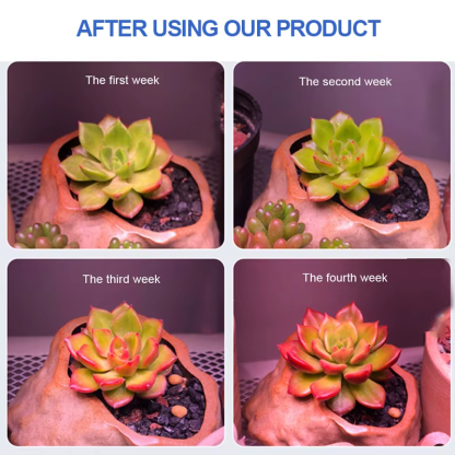 Full Spectrum 100W LED Grow Light Indoor Strip Growth Lamp for Plants Growing Tent Fitolampy Phyto Lamp Flower Growth Light Bulb - Image 4