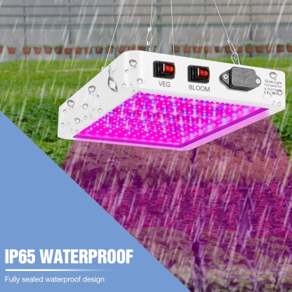 5000W Indoor LED Grow Lights LED Plant Lamp Bulb 220V Full Spectrum Phytolamp 4000W 110V Hydroponics Lampara LED Panel Bombilla - Image 4