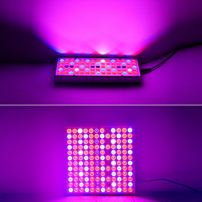 2Pcs Led Grow Lights 500W 100W Full Spectrum Phyto Lamp for Plants Red Blue White IR UV Led for Indoor Plants Flowers Growing - Image 7