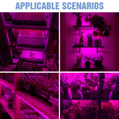 LED Full Spectrum Phyto Lamp USB 5V Grow Light Strip 0.5M 1M 2M 3M 2835 SMD Plants Flowers LED Greenhouse Cultivo Hydroponic - Image 7